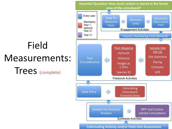 Field Measurements: Trees  (complete)