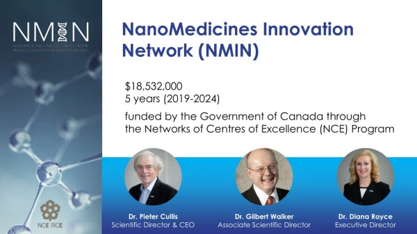 NanoMedicines  Innovation Network (NMIN)