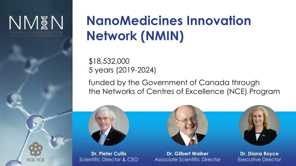 nanomedicines innovation network nmin