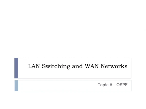 LAN Switching and WAN Networks