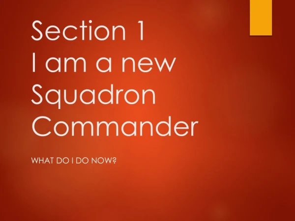 Section 1                                                 I am a new Squadron Commander