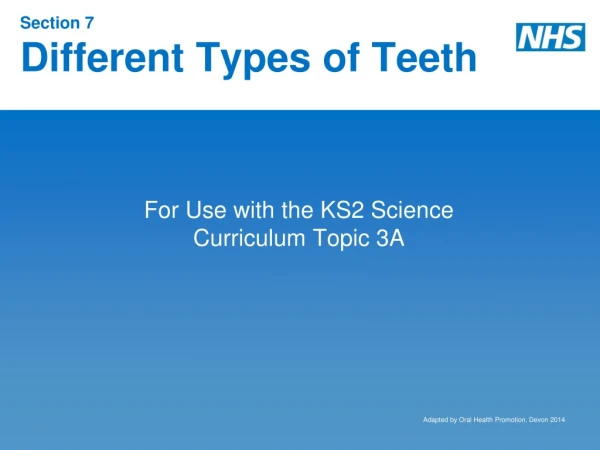 Section 7  Different Types of Teeth
