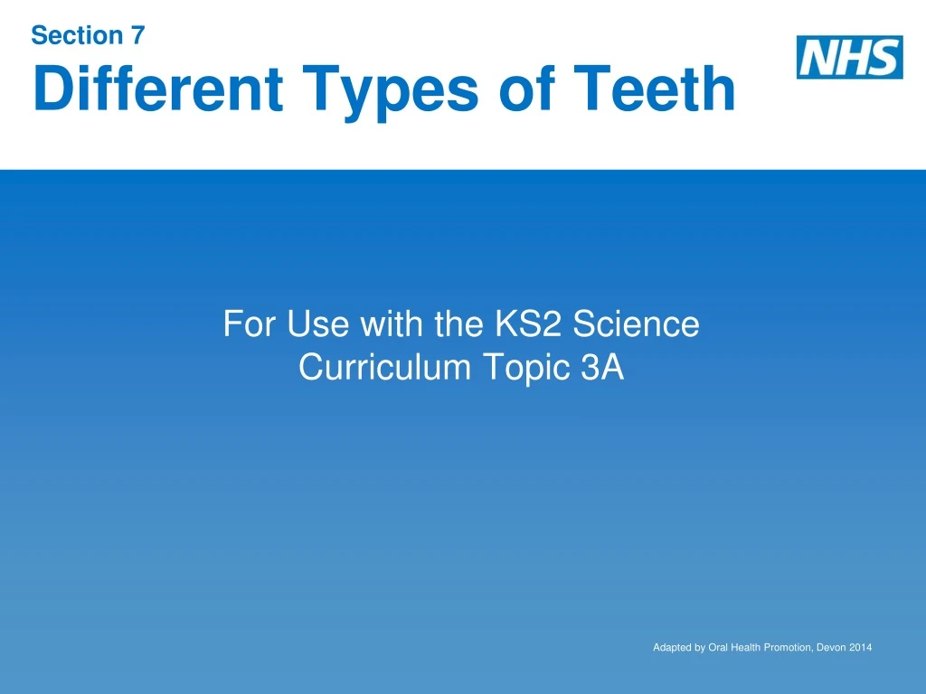 section 7 different types of teeth