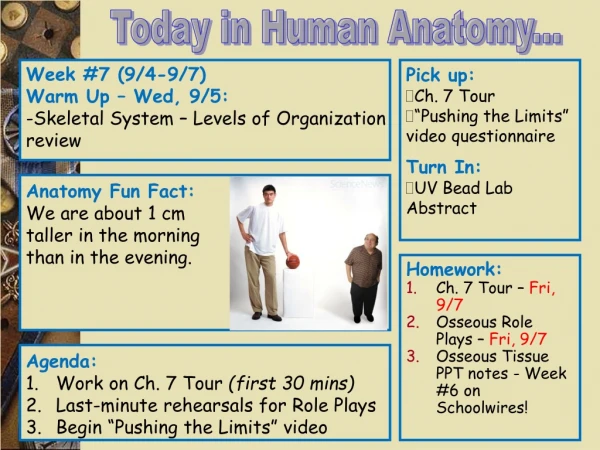 Week #7 (9/4-9/7) Warm Up – Wed, 9/5: -Skeletal System – Levels of Organization review