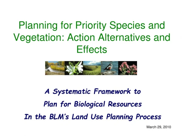 Planning for Priority Species and Vegetation: Action Alternatives and Effects