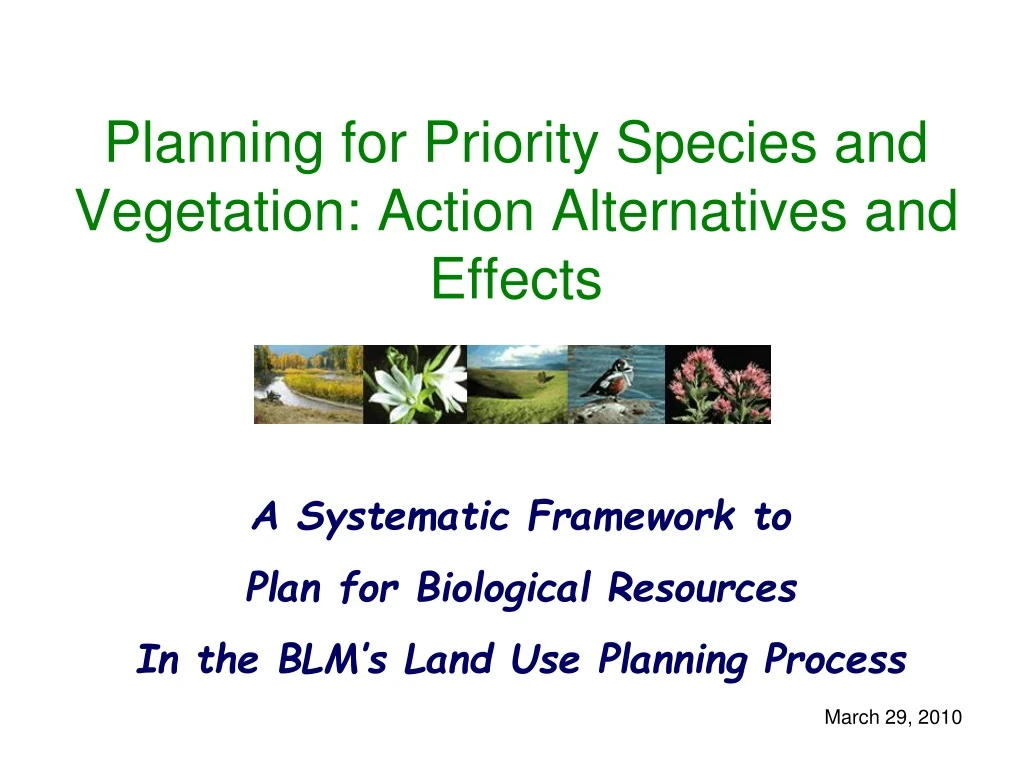 planning for priority species and vegetation action alternatives and effects