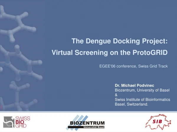 The Dengue Docking Project: Virtual Screening on the ProtoGRID