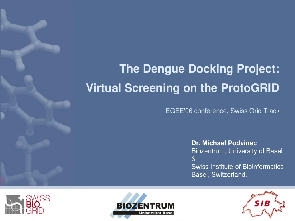 the dengue docking project virtual screening on the protogrid