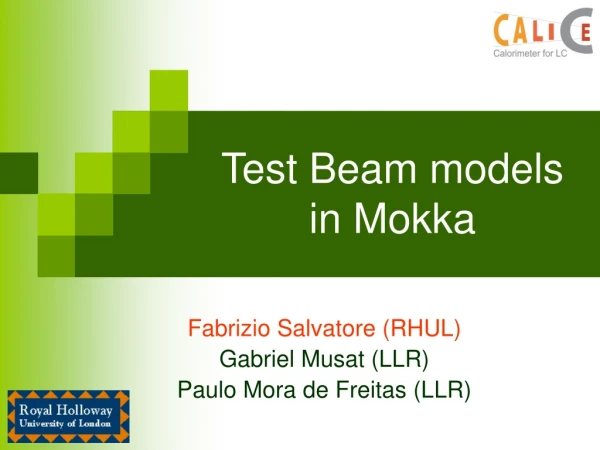 Test Beam models in Mokka
