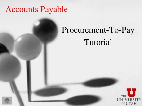 Accounts Payable