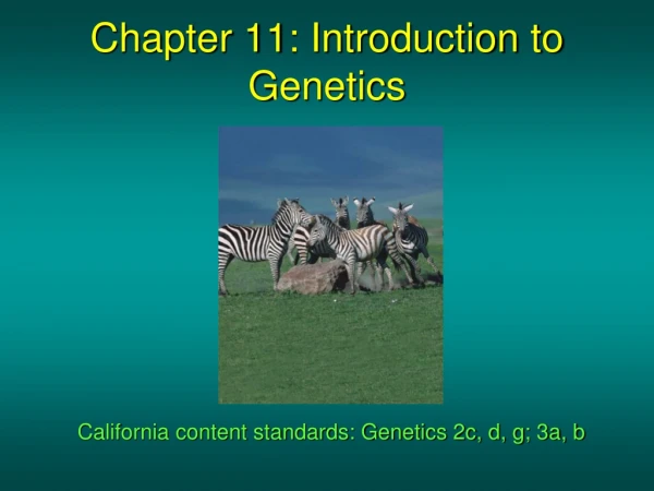 Chapter 11: Introduction to Genetics