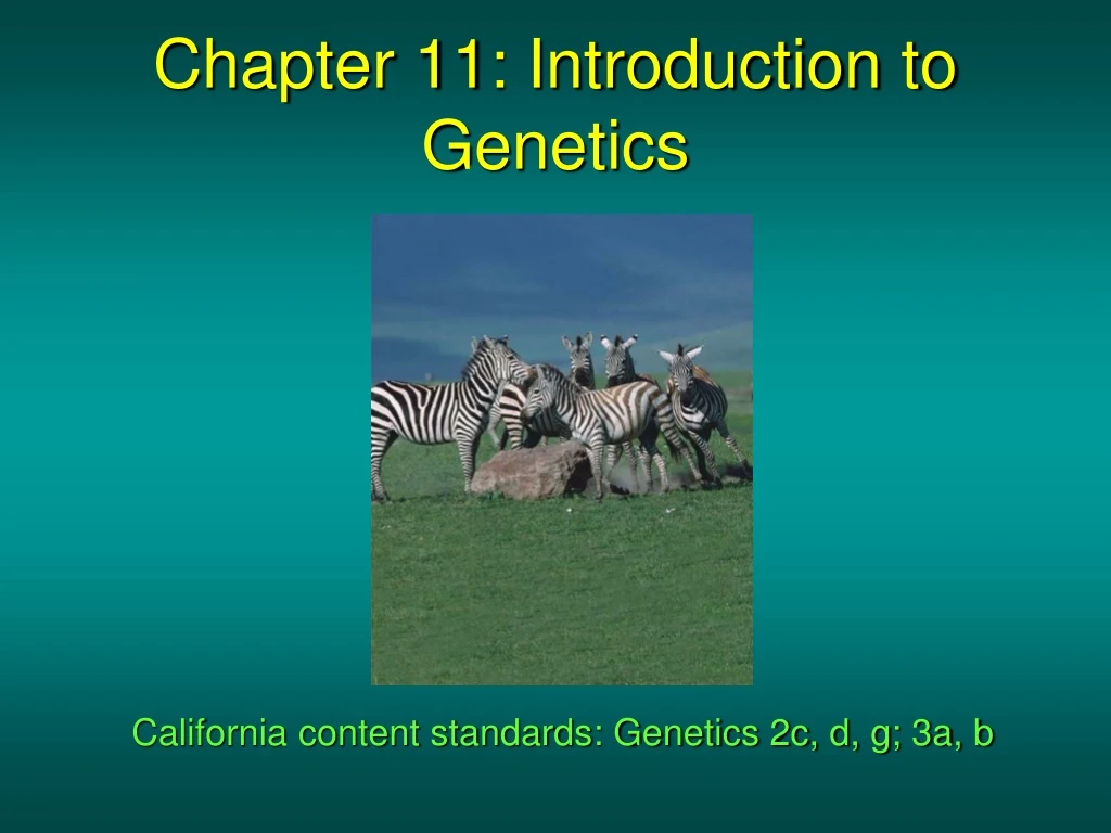 chapter 11 introduction to genetics