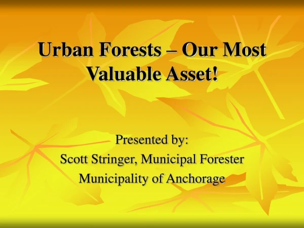 Urban Forests – Our Most Valuable Asset!
