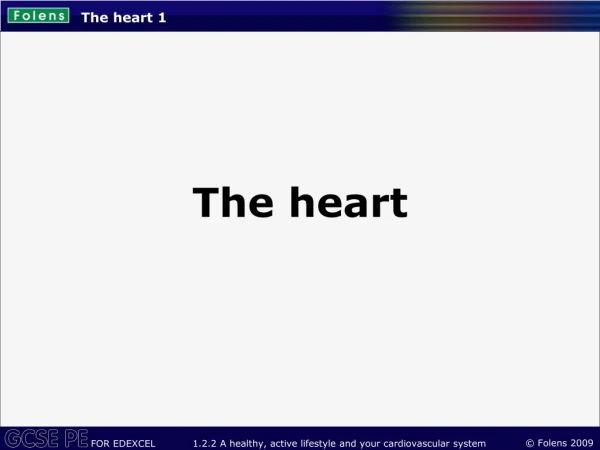 The heart 1