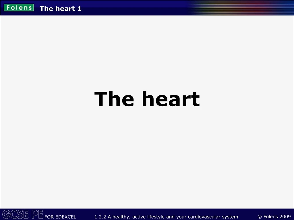 the heart 1