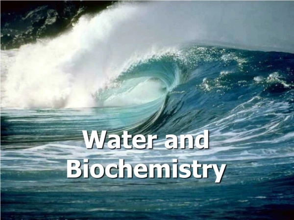 Water and Biochemistry