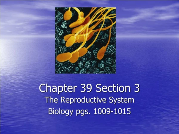 Chapter 39 Section 3