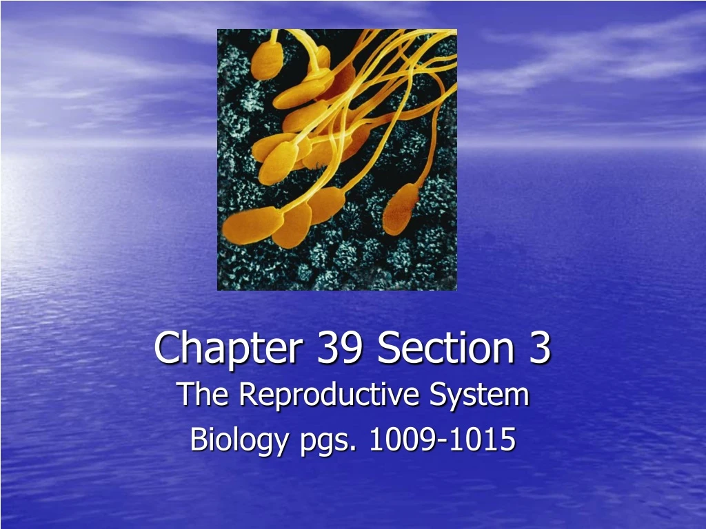 chapter 39 section 3