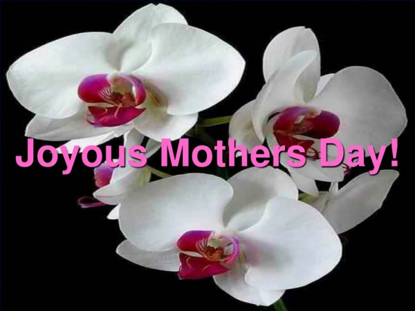 Joyous Mothers Day!