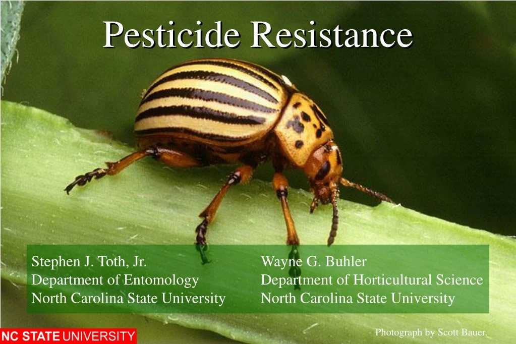 pesticide resistance