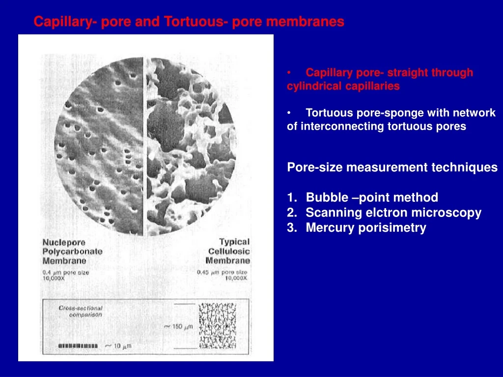 capillary pore and tortuous pore membranes