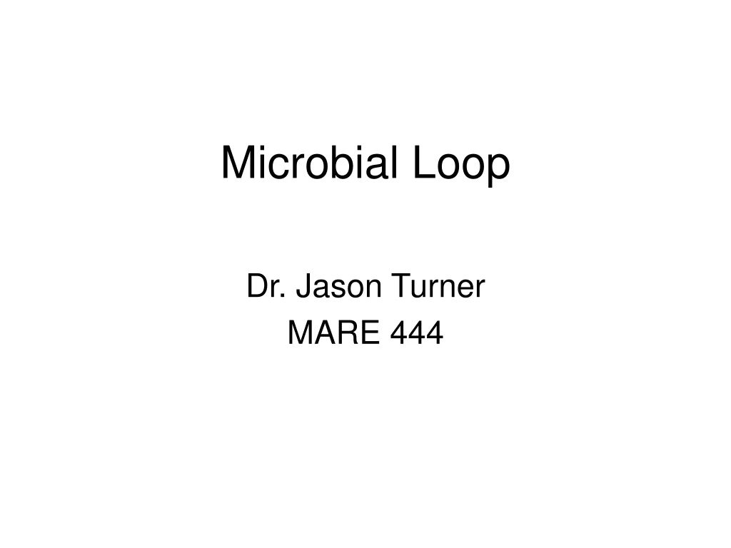 microbial loop