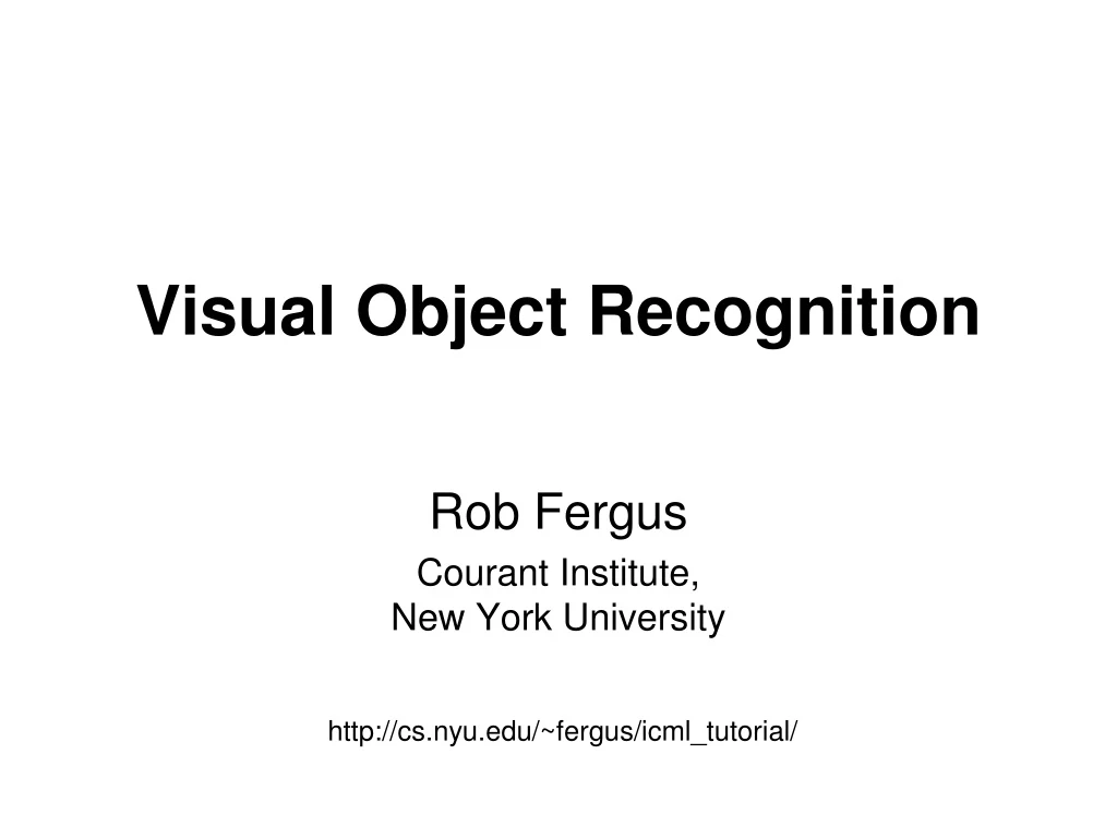 visual object recognition