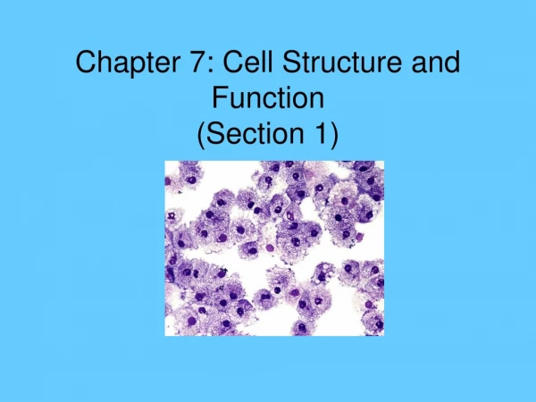 Chapter 7: Cell Structure and Function (Section 1)
