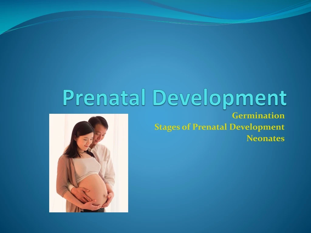 prenatal development