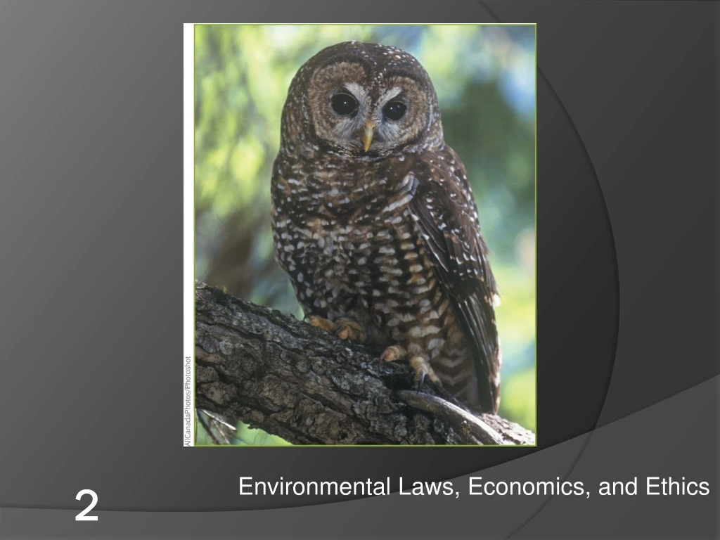 environmental laws economics and ethics