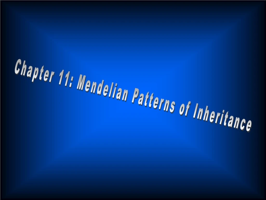 chapter 11 mendelian patterns of inheritance