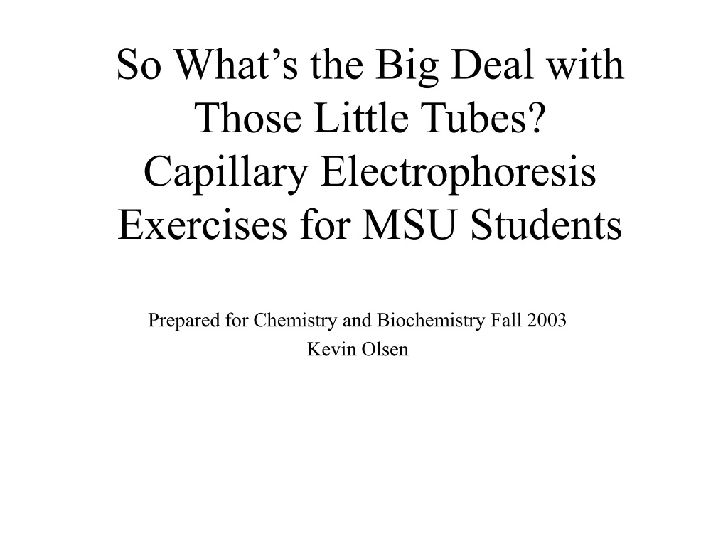 so what s the big deal with those little tubes capillary electrophoresis exercises for msu students