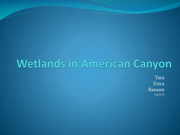 Wetlands in American Canyon