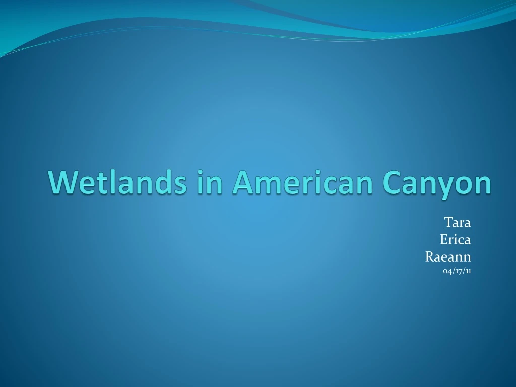 wetlands in american canyon