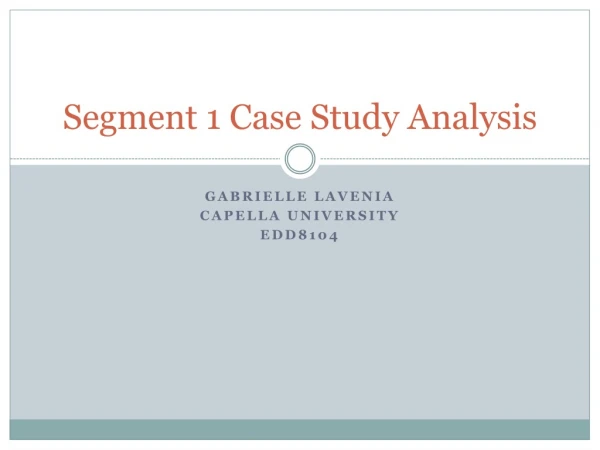 Segment 1 Case Study Analysis