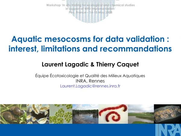 Aquatic mesocosms for data validation : interest, limitations and recommandations