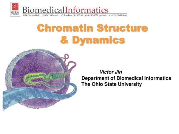 Chromatin Structure  &amp; Dynamics