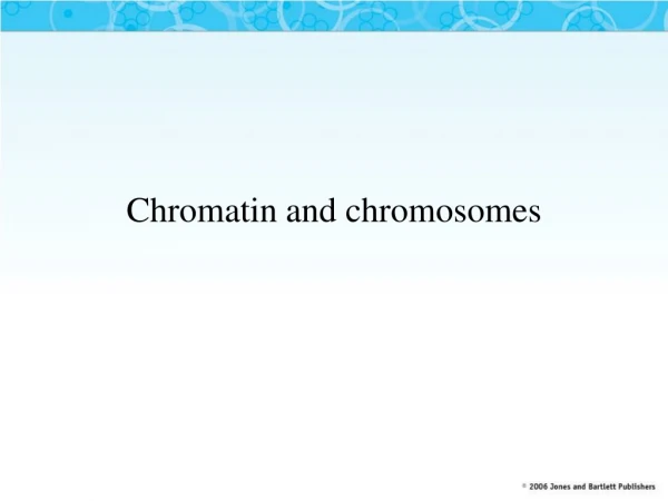 Chromatin and chromosomes