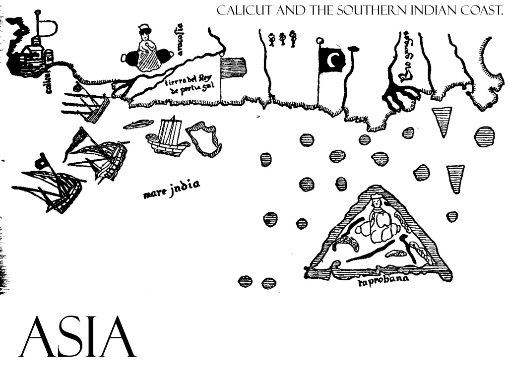 calicut and the southern indian coast