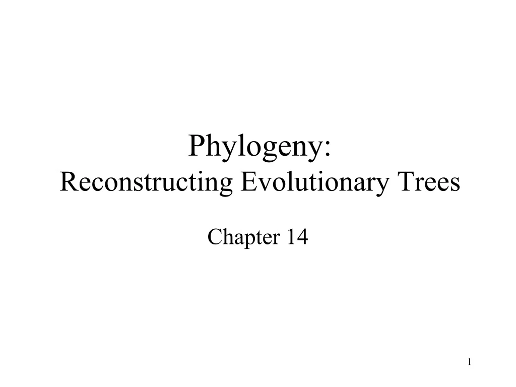 phylogeny reconstructing evolutionary trees