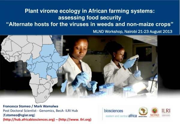 Plant  virome  ecology in African farming systems:  assessing  food  security