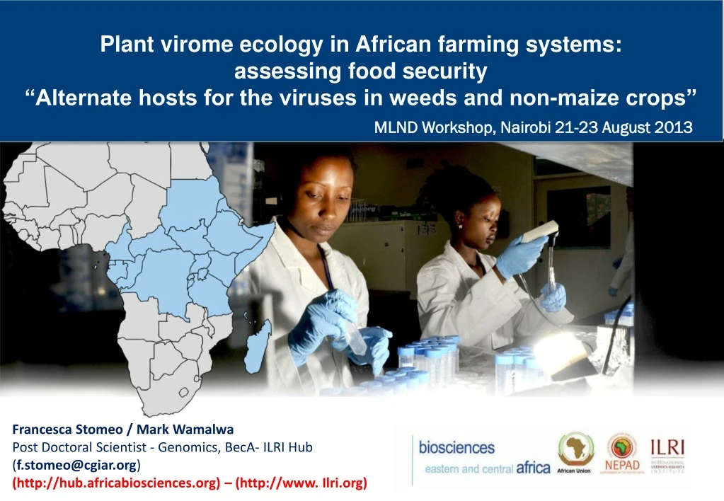 plant virome ecology in african farming systems