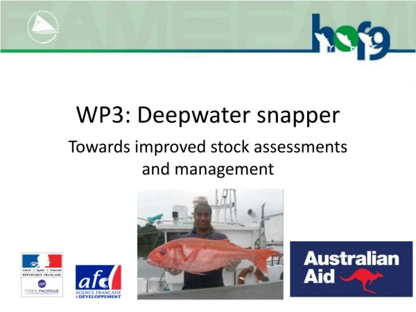 WP3: Deepwater snapper