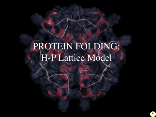 PROTEIN FOLDING: H-P Lattice Model