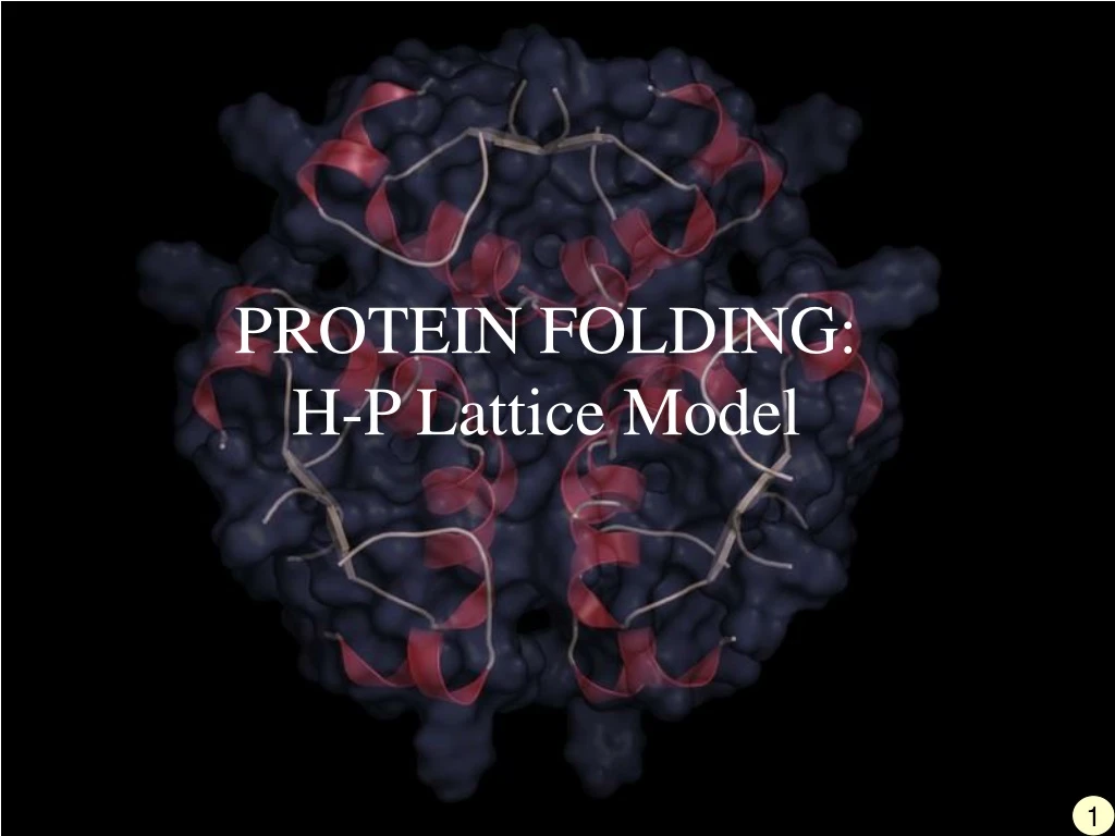 protein folding h p lattice model
