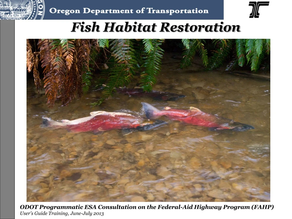 fish habitat restoration