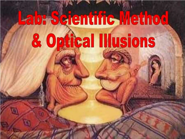 Lab: Scientific Method &amp; Optical Illusions