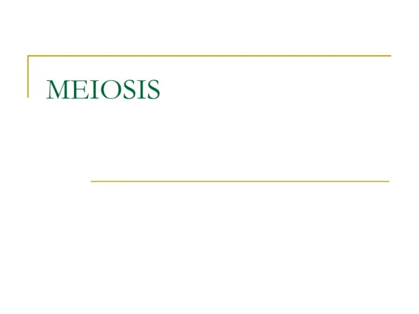 MEIOSIS