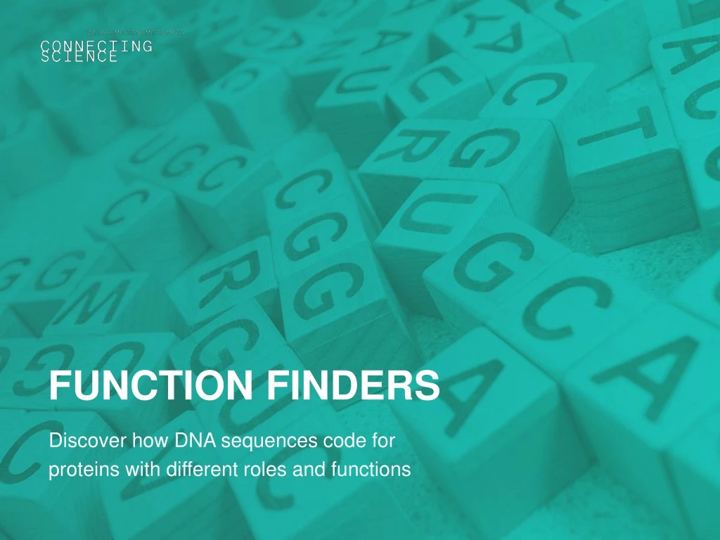 function finders