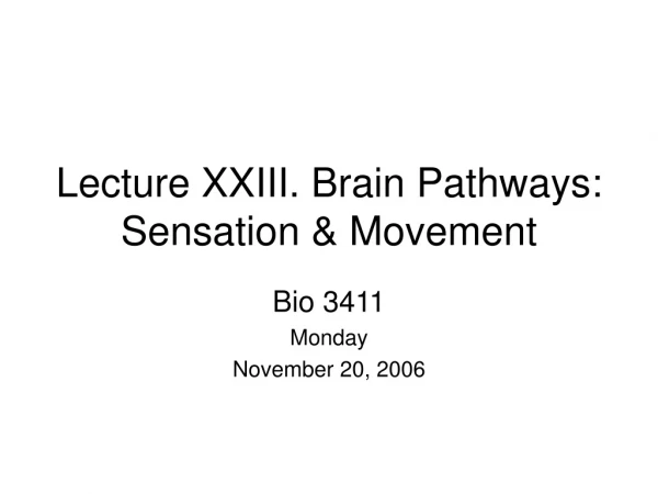 Lecture XXIII. Brain Pathways: Sensation &amp; Movement